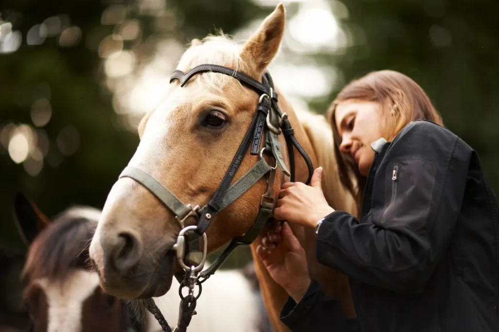 A woman is grooming her horse 's mane.